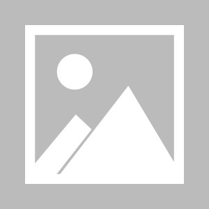 7M体育登录入口-【布鲁克林网事】圣诞战湖人！篮网成NBA财富密码