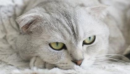 7M体育官网-艺人李昊谈国足李昊：看到他屡现神扑感觉自己叫李昊很光荣